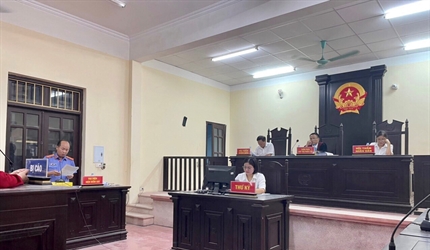 Viện KSND huyện Ứng Hòa phối hợp với TAND cùng cấp tổ chức phiên tòa...